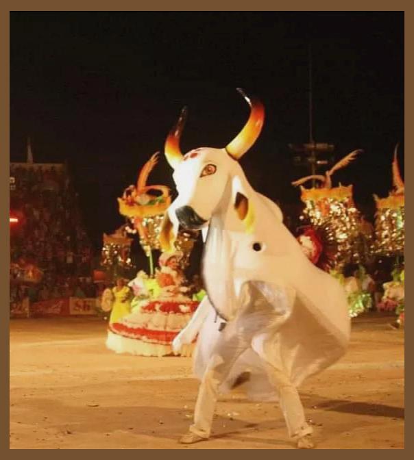 Boi Flor do Campo photo 1