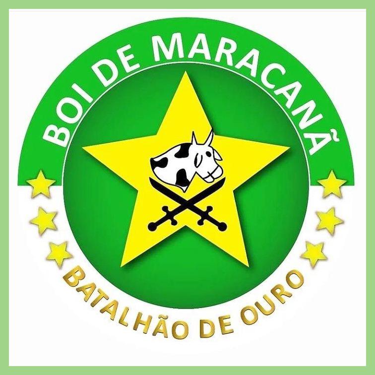Bumba meu Boi de Maracanã photo 1