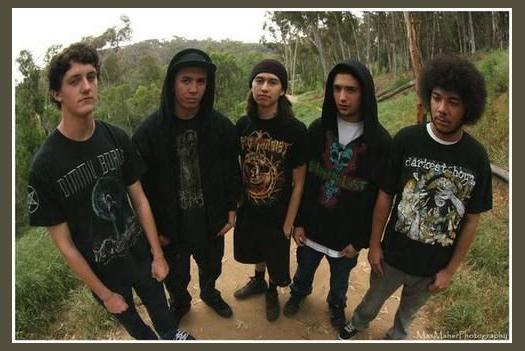Burning the Masses photo 1