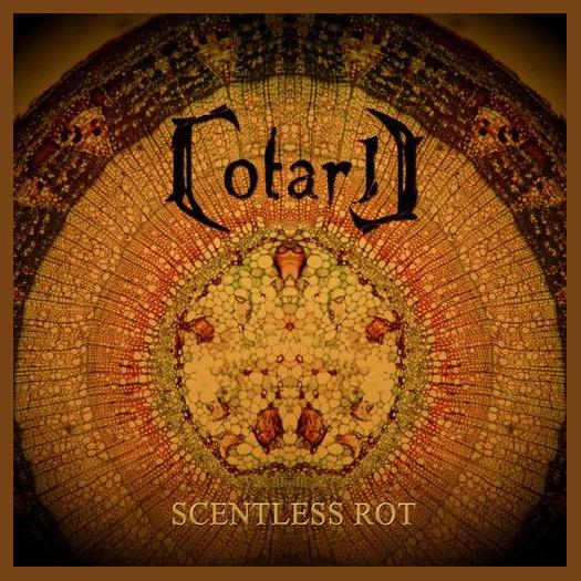 Cotard photo 1