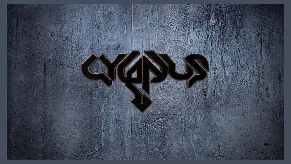 Cygnus photo 1