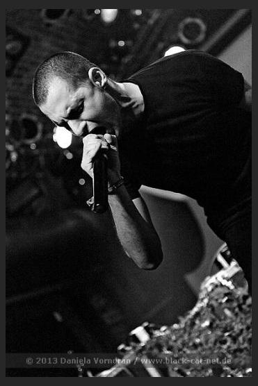 Cygnosic photo 1