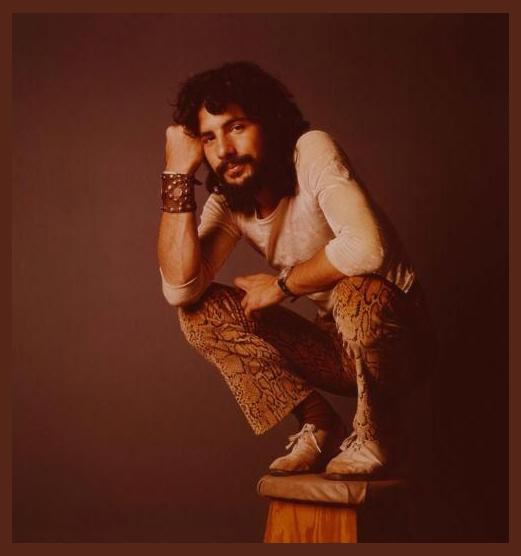 Cat Stevens