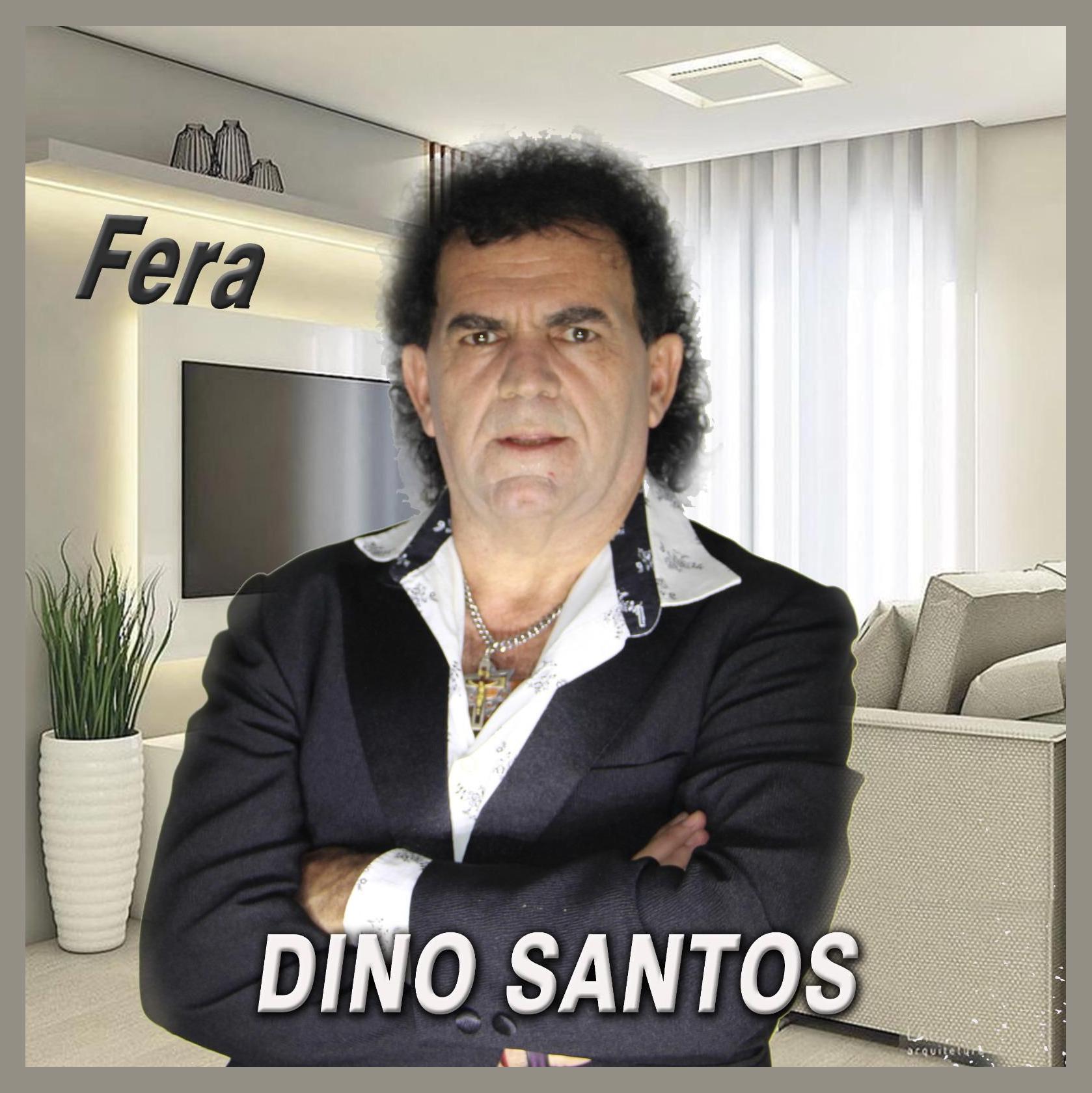 Dino Santos photo 1