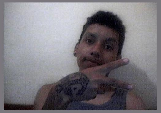 euPolisenso