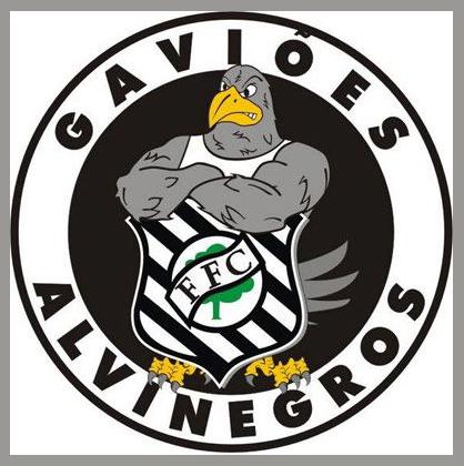 Gaviões Alvinegros