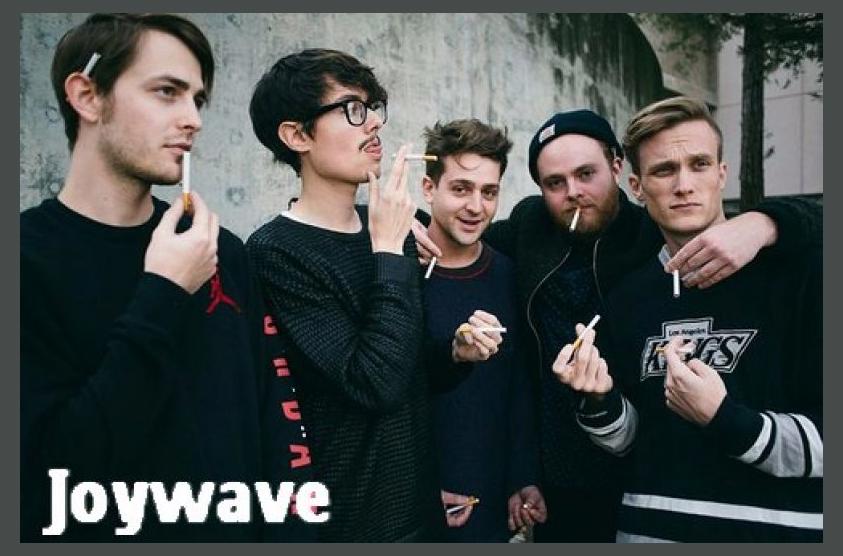 Joywave photo 1