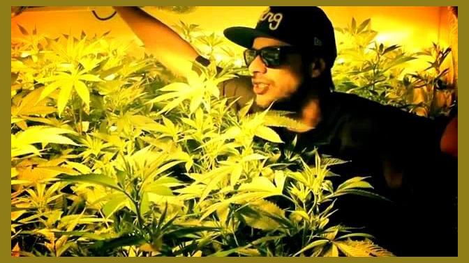 Mc Eltin photo 1