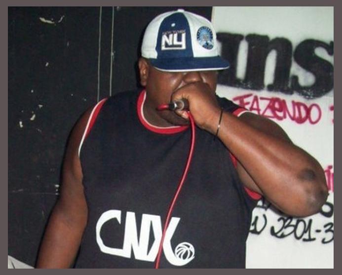 Mc Nomadi photo 1