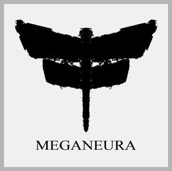 Meganeura photo 1
