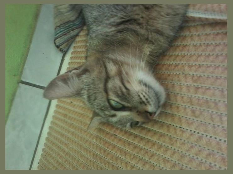Mithisy Tiby photo 1