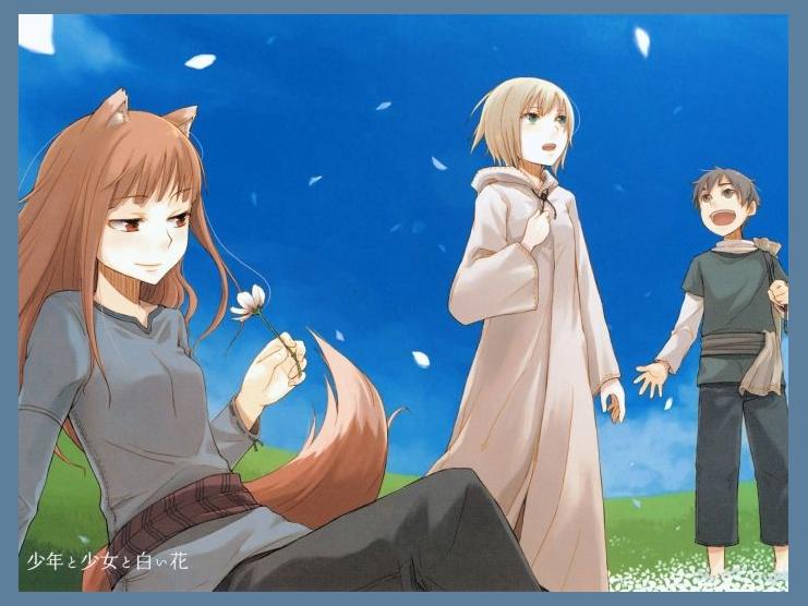 Ookami To Koushinryou