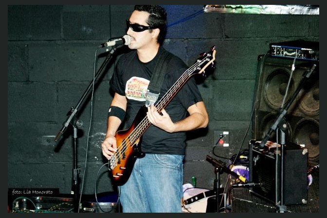 Os Pinguins do Deserto