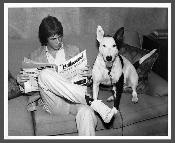 Rick Springfield