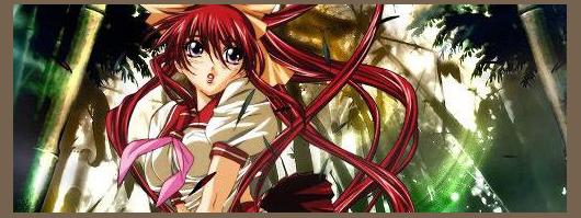 Samurai Girl Realbout Highschool