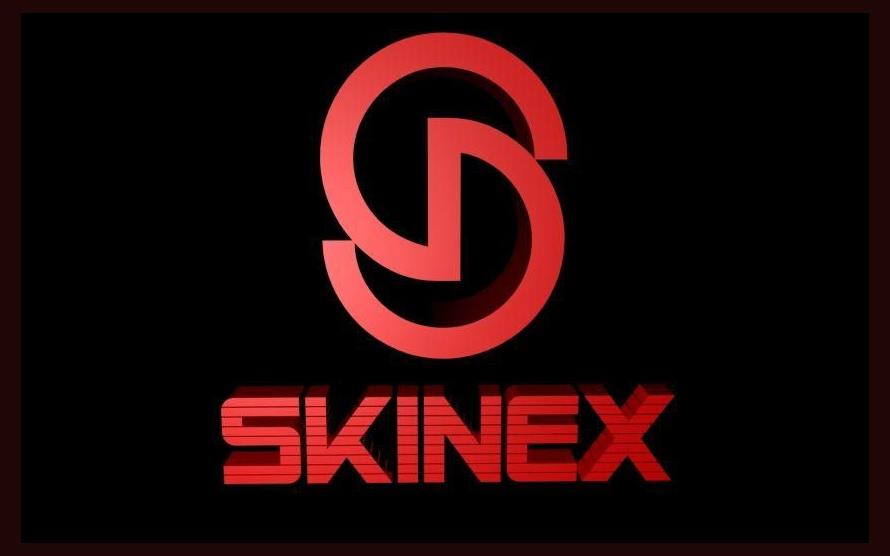 SkiNex photo 1