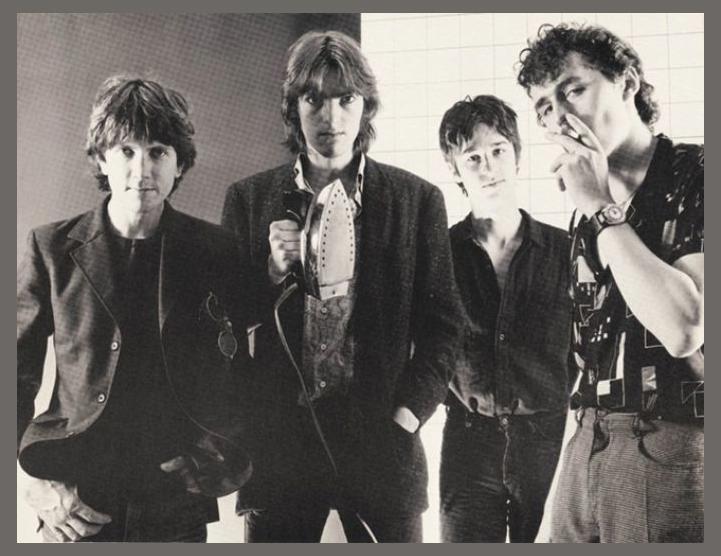 The Soft Boys photo 1