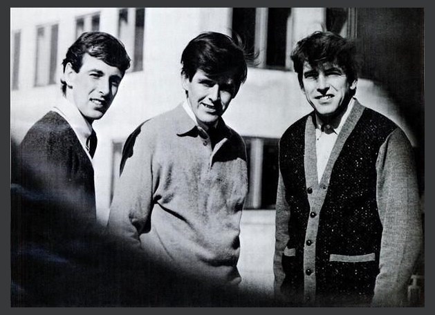 The Bachelors
