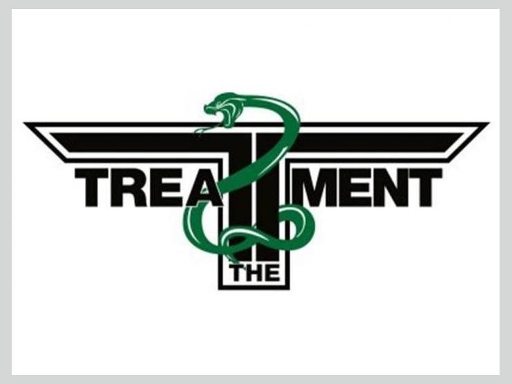The Treatment photo 1