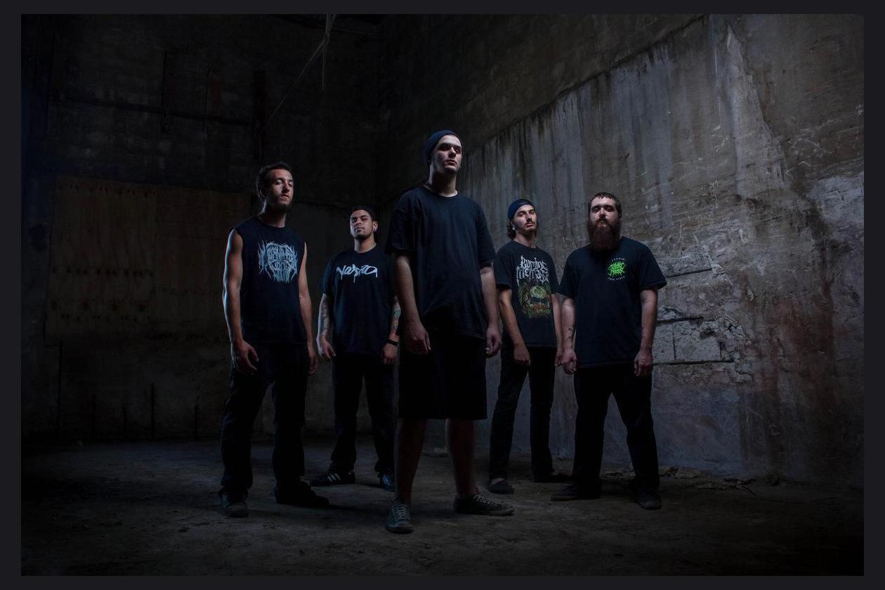 Traitors photo 1