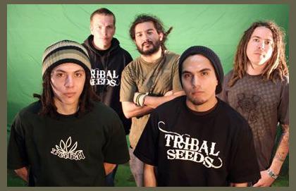 Tribal Seeds photo 1