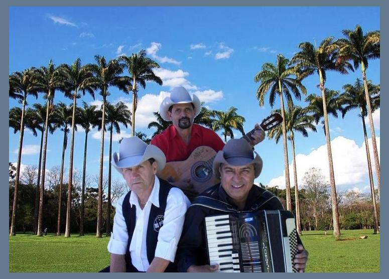Trio Brasil Sertanejo photo 1