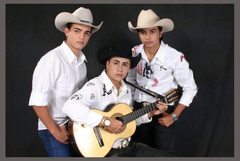 Trio Viola de Ouro photo 1