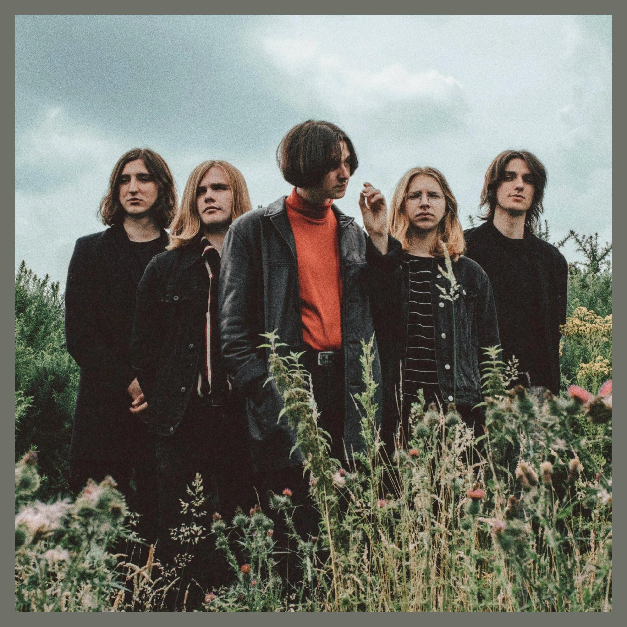 VIOLET (It's Violet)