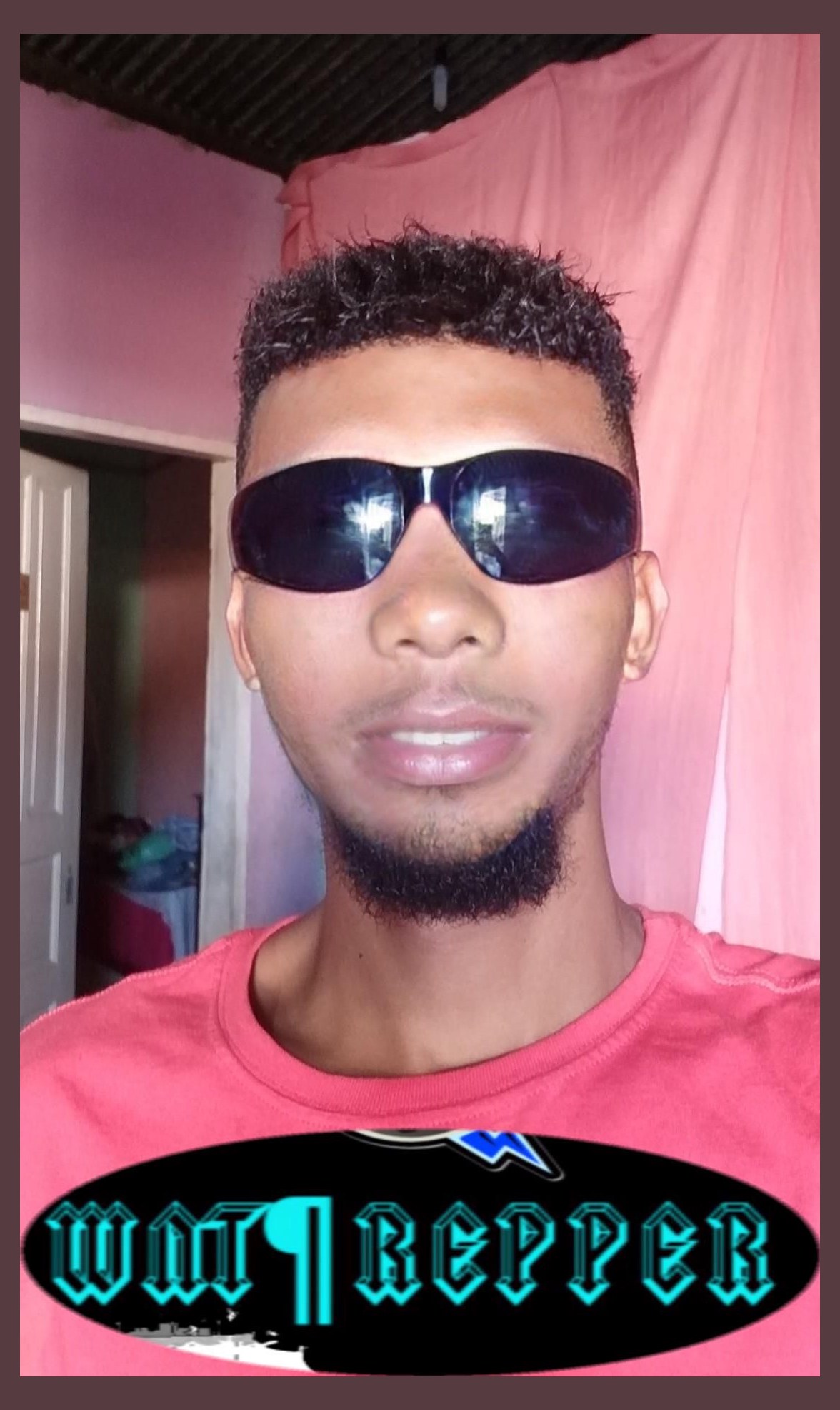 WntRepper