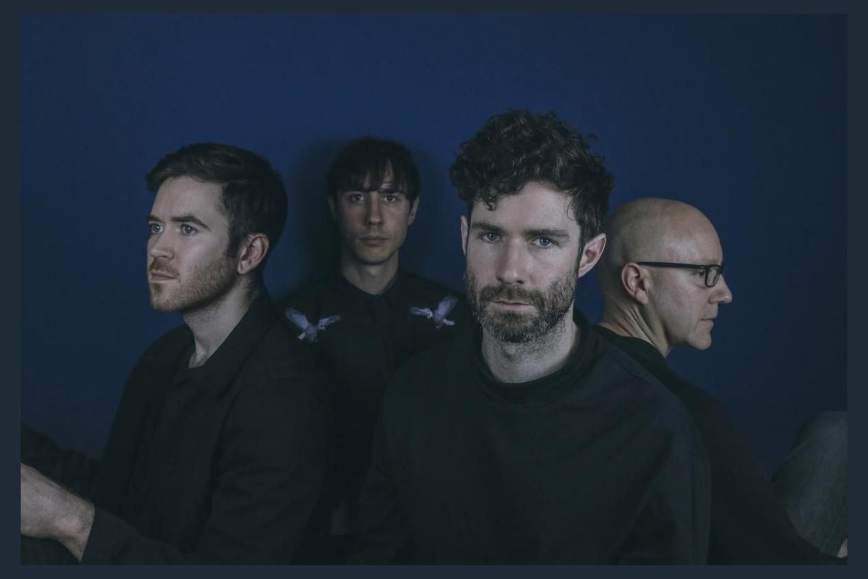 Zola Blood