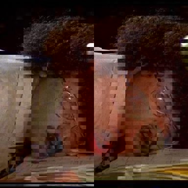 "Weird Al" Yankovic photo 15