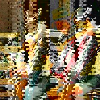 2 Filhos de Francisco