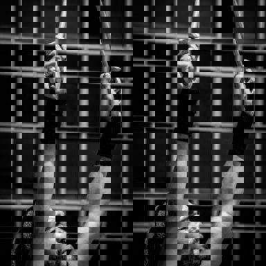 A Dama E Os Vagabundos