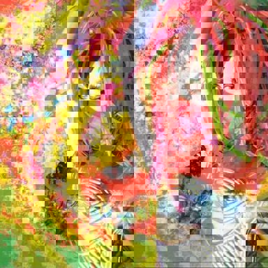 ALI PROJECT photo 18