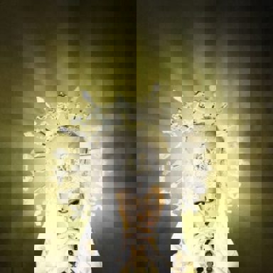 ALI PROJECT photo 19