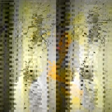 ALI PROJECT photo 20