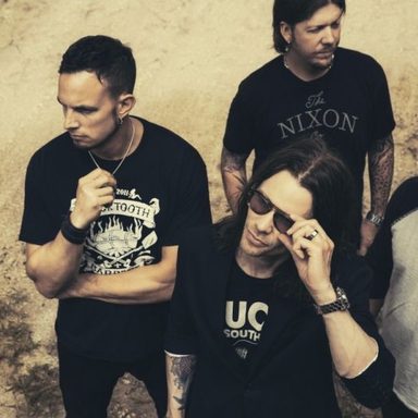 Alter Bridge photo 13