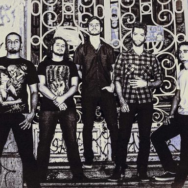 Amplify photo 15