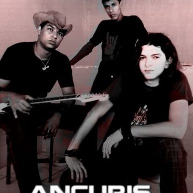 Ancuris