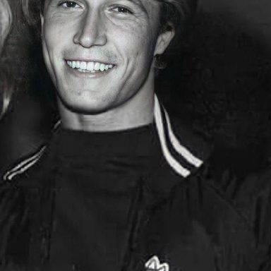 Andy Gibb