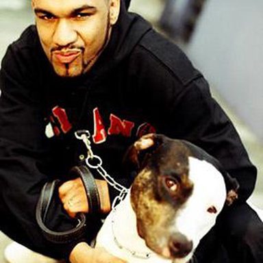 Apocalipse 16 photo 20