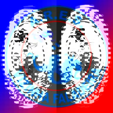 ARES Vizinha Faladeira