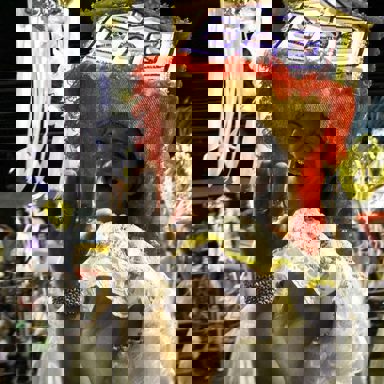 ARES Vizinha Faladeira