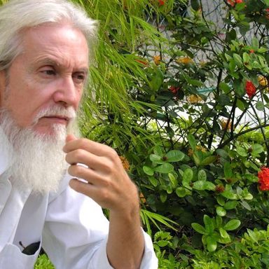 Arnaldo Luis Miranda photo 33