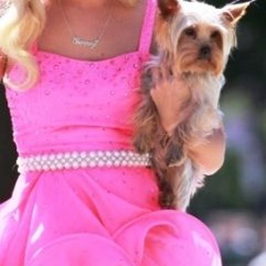 Ashley Tisdale photo 85