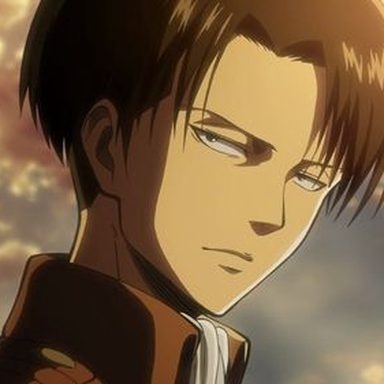 Attack On Titan (Shingeki No Kyojin) photo 11