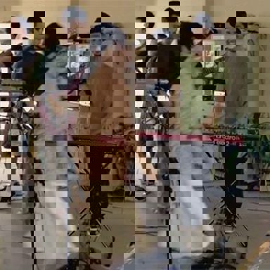 A Banda Mais Bonita da Cidade photo 18