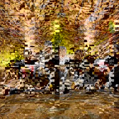 A Day To Remember photo 18