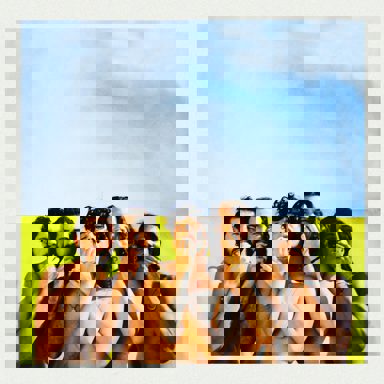 A Outra Banda da Lua