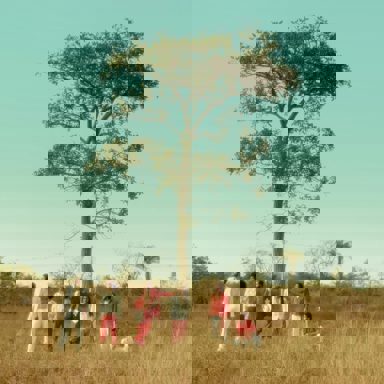 A Outra Banda da Lua